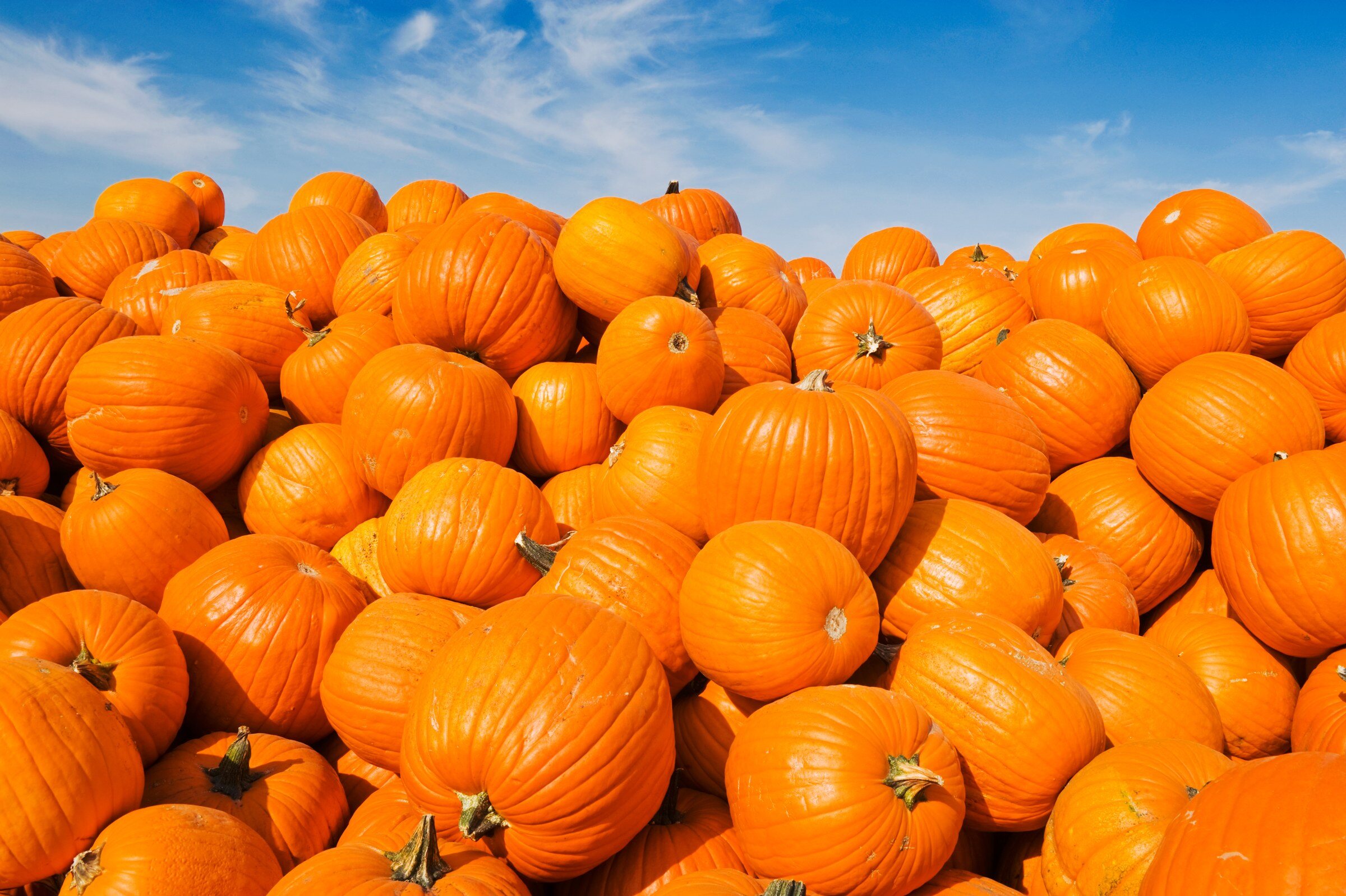 Trick-or-Treaters, is your house ready?