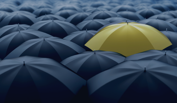 Case Study: Personal Umbrella Liability Insurance