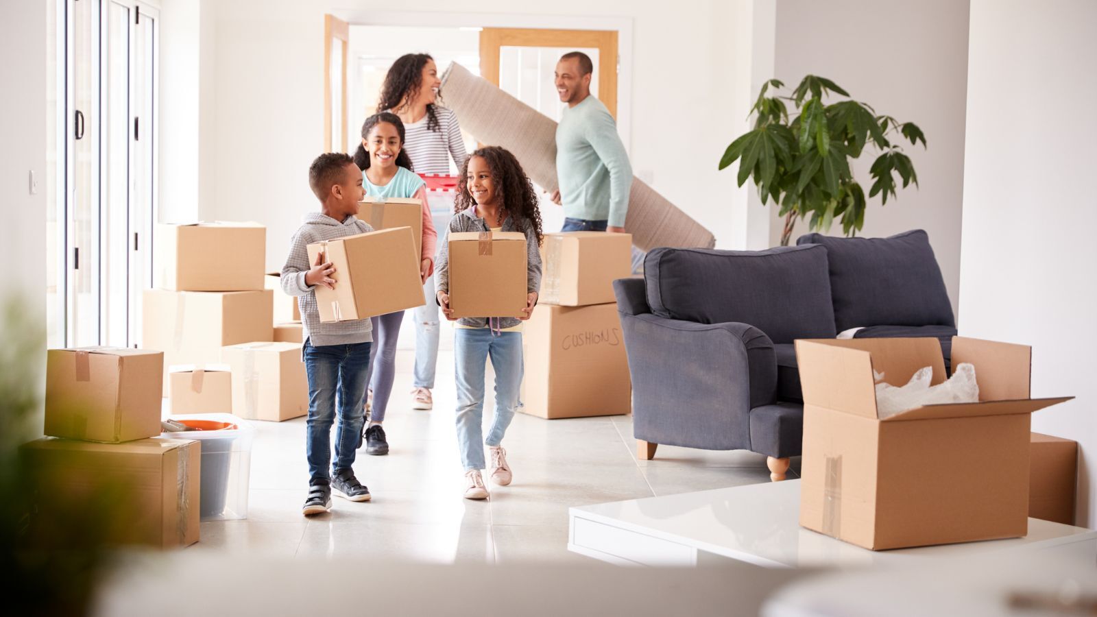 Homeowners Occupancy Explained