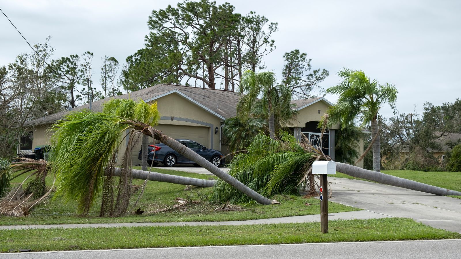 8 Things to Know and Do Before the Next Big Storm Hits