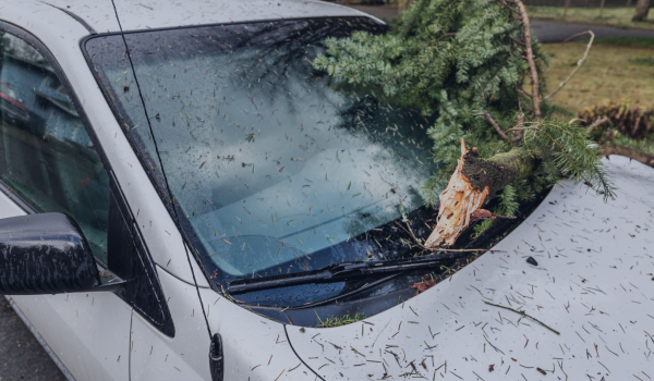 How to File a Car Insurance Claim After a Storm
