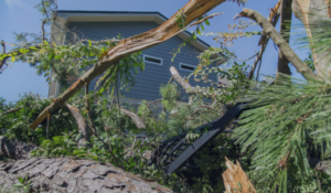 windstorm insurance - gusts